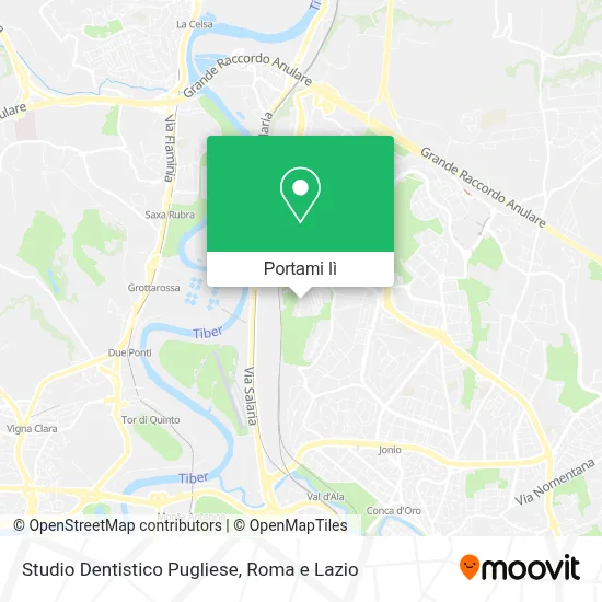 Mappa Studio Dentistico Pugliese