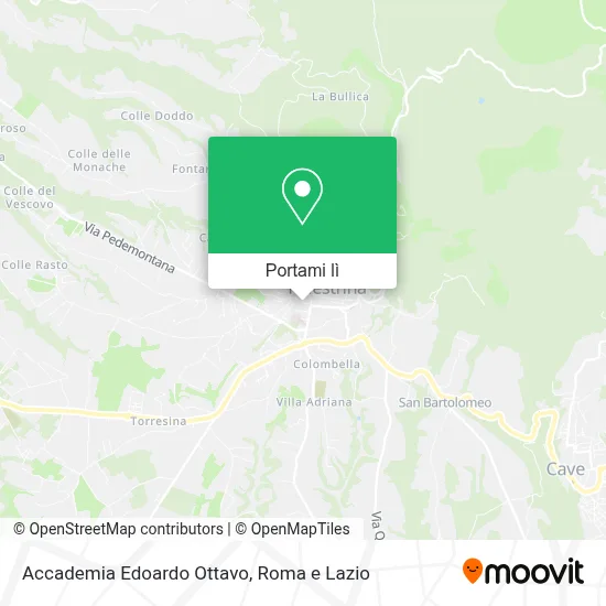 Mappa Accademia Edoardo Ottavo