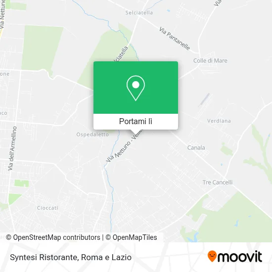 Mappa Syntesi Ristorante