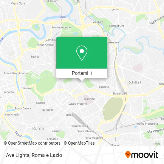 Mappa Ave Lights