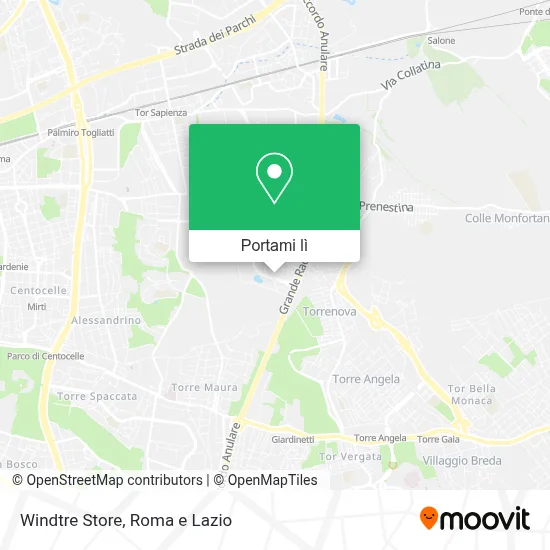 Mappa Windtre Store