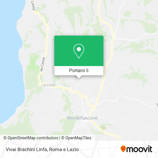 Mappa Vivai Brachini Linfa