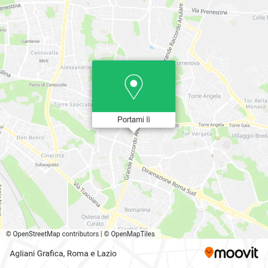 Mappa Agliani Grafica