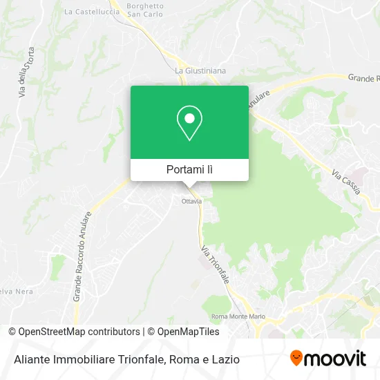 Mappa Aliante Immobiliare Trionfale