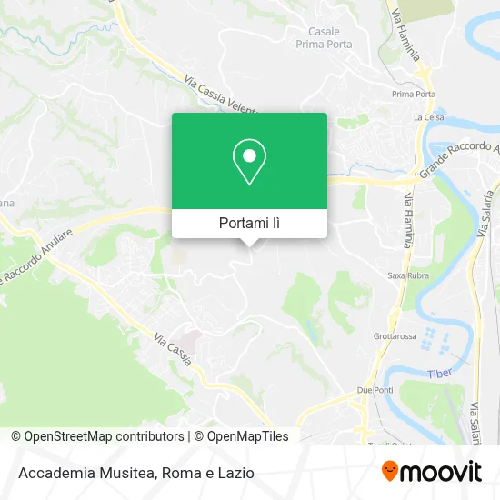 Mappa Accademia Musitea