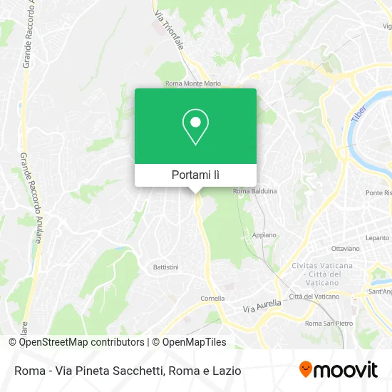 Mappa Roma - Via Pineta  Sacchetti