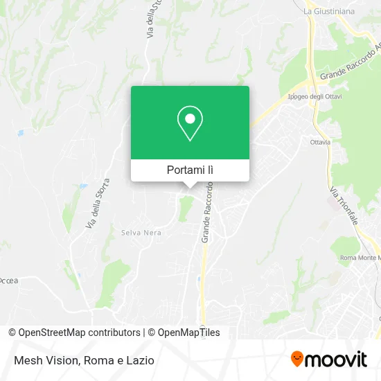 Mappa Mesh Vision