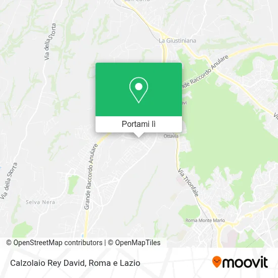 Mappa Calzolaio Rey David