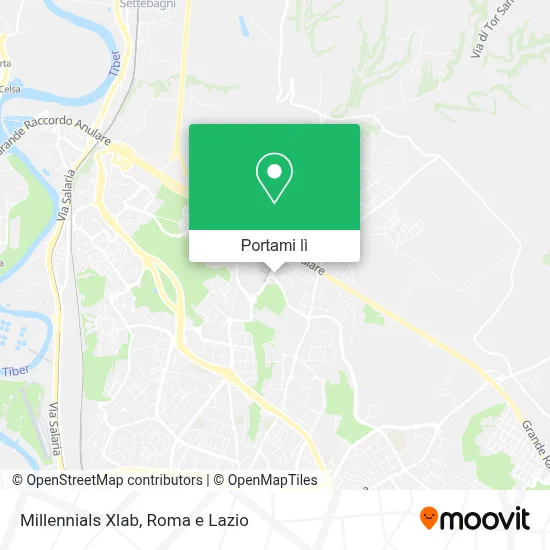 Mappa Millennials Xlab