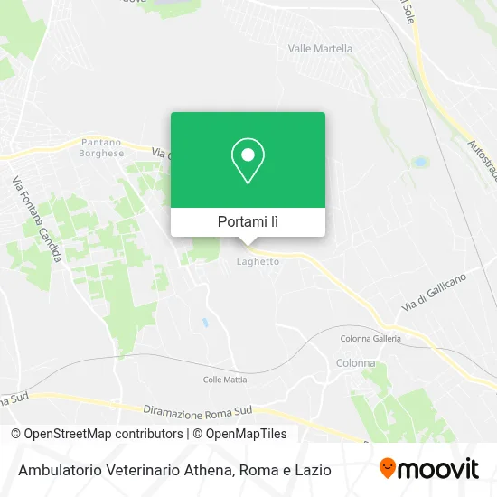 Mappa Ambulatorio Veterinario Athena