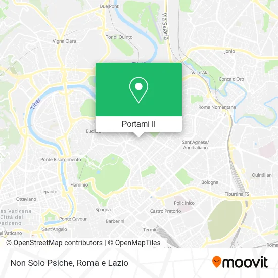 Mappa Non Solo Psiche