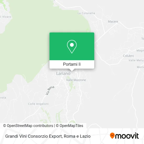 Mappa Grandi Vini Consorzio Export