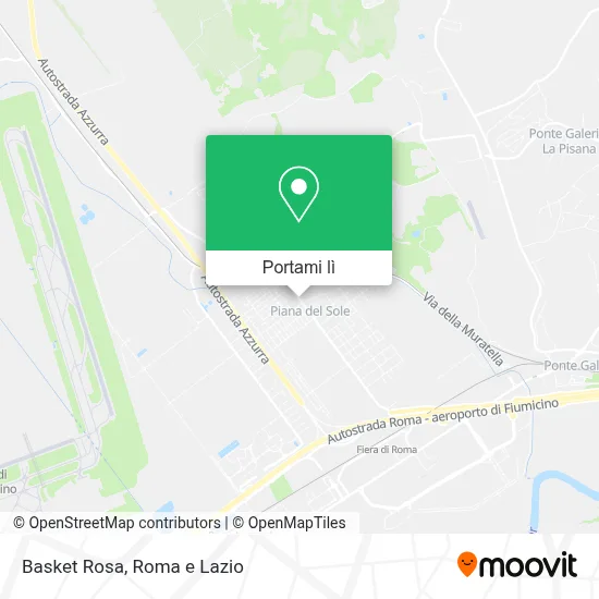 Mappa Basket Rosa