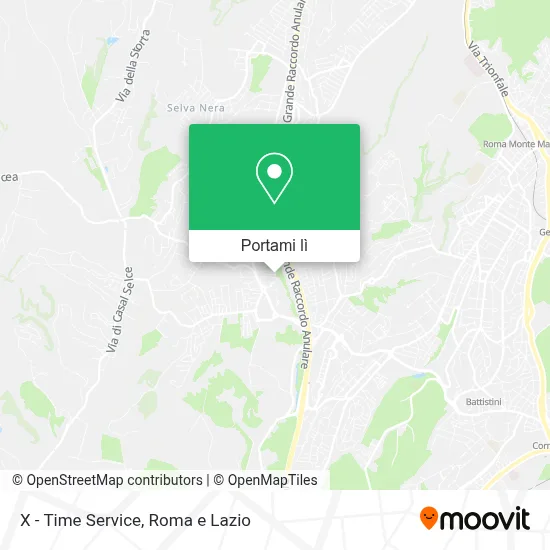 Mappa X - Time Service