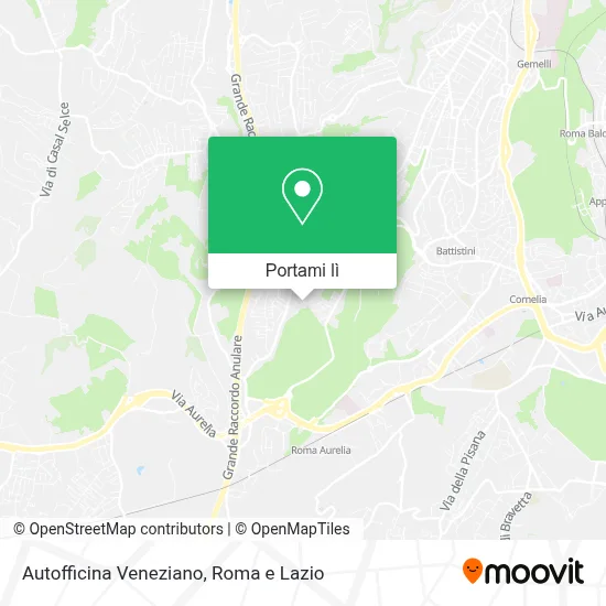 Mappa Autofficina Veneziano