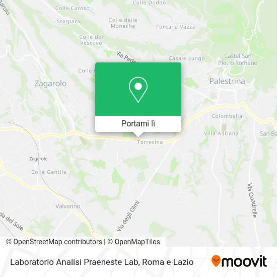 Mappa Laboratorio Analisi Praeneste Lab