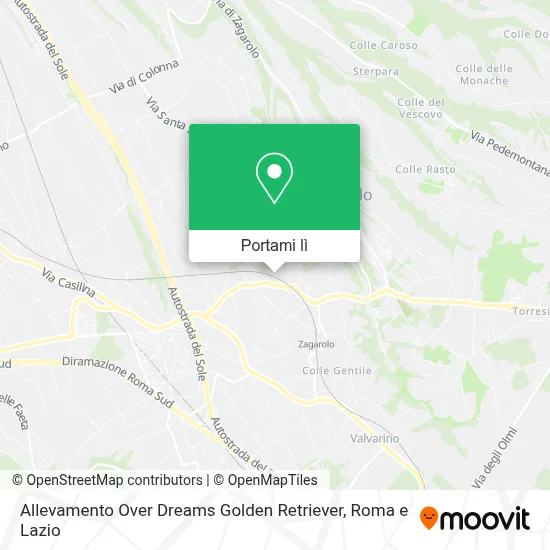 Mappa Allevamento Over Dreams Golden Retriever