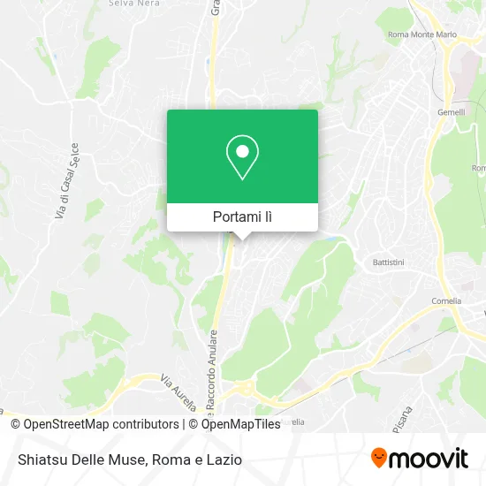 Mappa Shiatsu Delle Muse