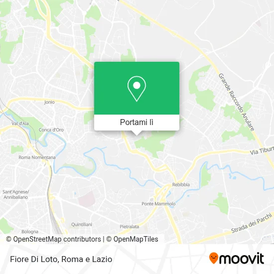 Mappa Fiore Di Loto