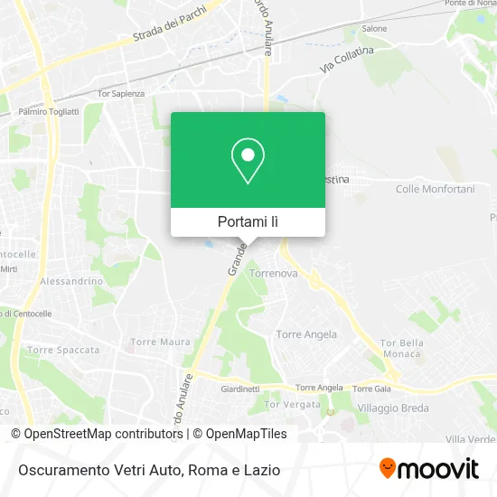 Mappa Oscuramento Vetri Auto