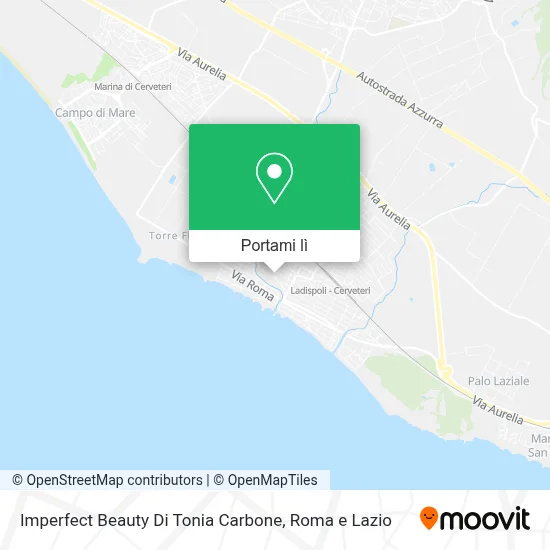 Mappa Imperfect Beauty Di Tonia Carbone