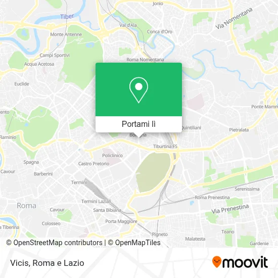 Mappa Vicis