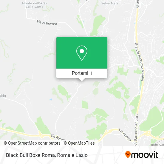 Mappa Black Bull Boxe Roma