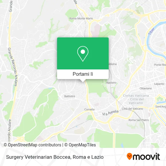 Mappa Surgery Veterinarian Boccea