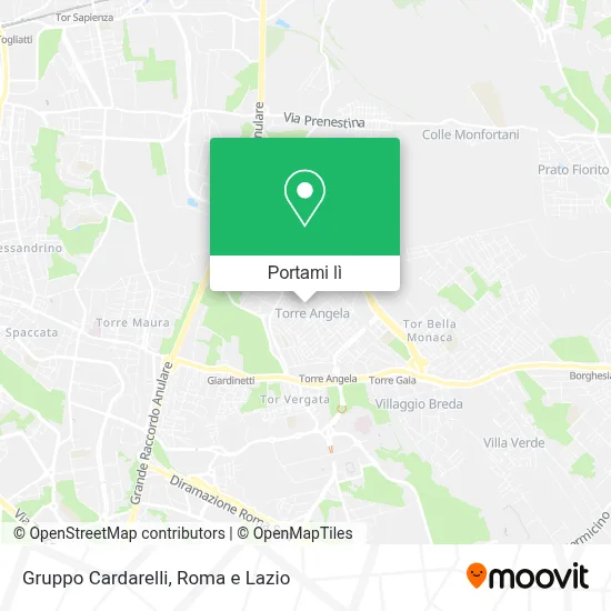 Mappa Gruppo Cardarelli