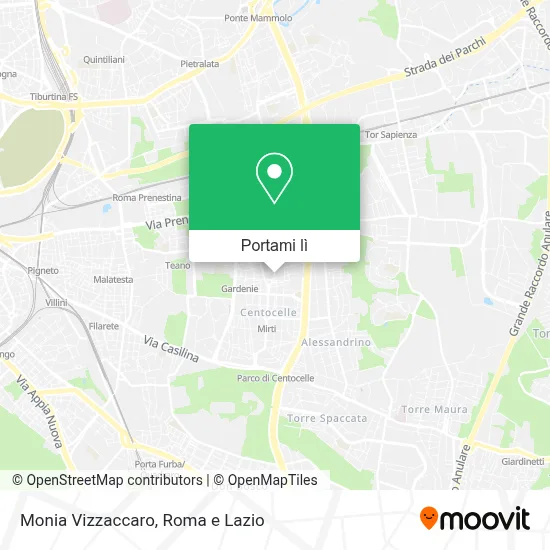 Mappa Monia Vizzaccaro