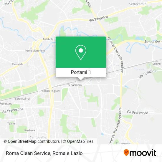 Mappa Roma Clean Service
