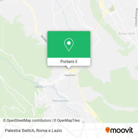 Mappa Palestra Switch