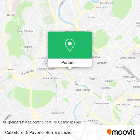 Mappa Calzature Di Pavone