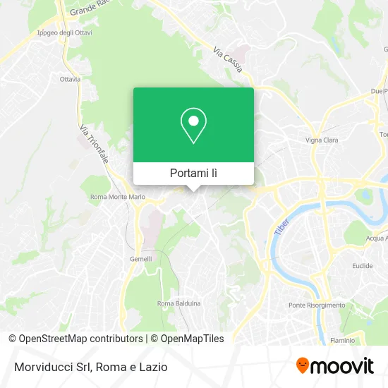 Mappa Morviducci Srl