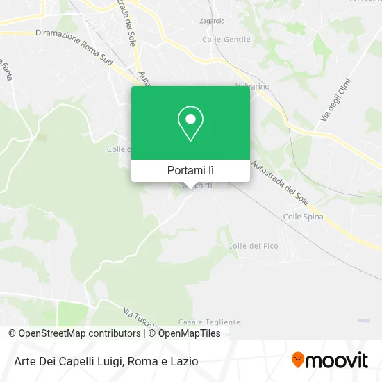 Mappa Arte Dei Capelli Luigi