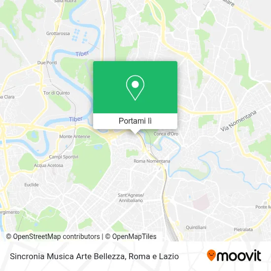 Mappa Sincronia Musica Arte Bellezza