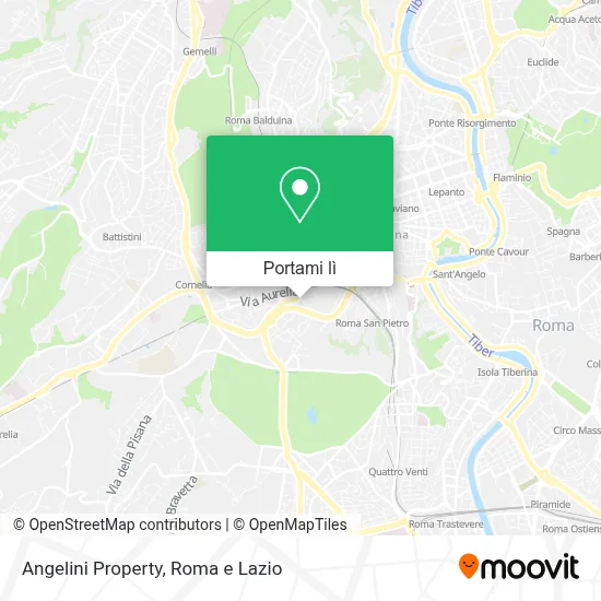 Mappa Angelini Property