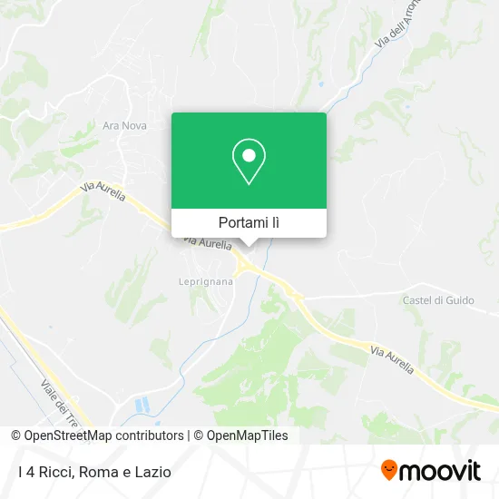 Mappa I 4 Ricci