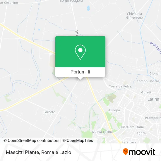 Mappa Mascitti Piante