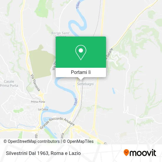 Mappa Silvestrini Dal 1963