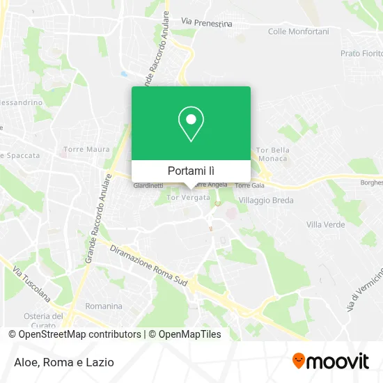 Mappa Aloe