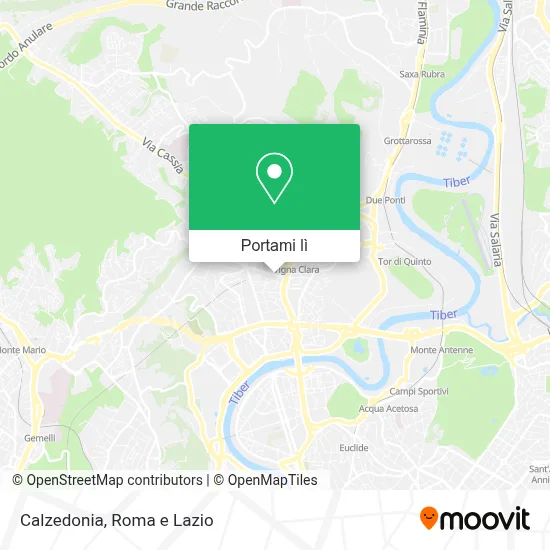 Mappa Calzedonia