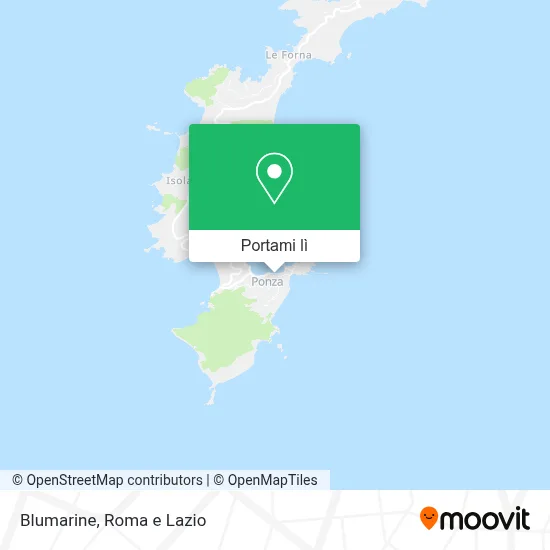 Mappa Blumarine