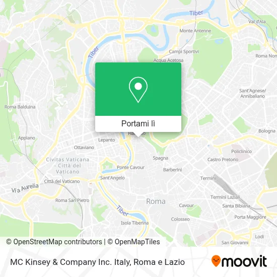 Mappa MC Kinsey & Company Inc. Italy