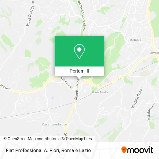 Mappa Fiat Professional A. Fiori