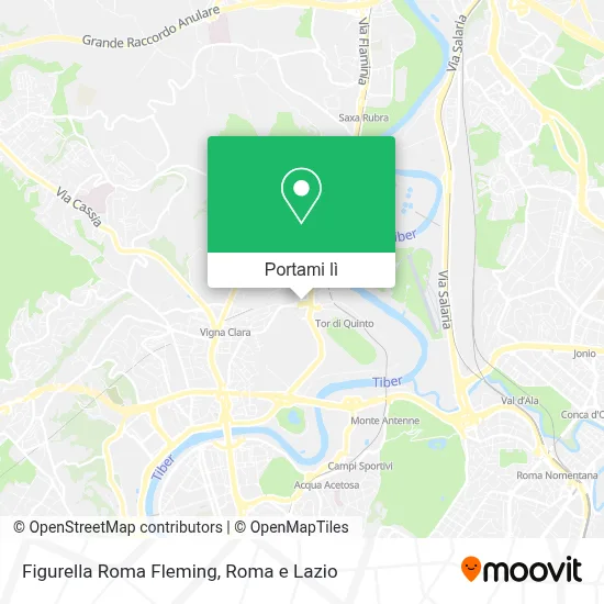 Mappa Figurella Roma Fleming