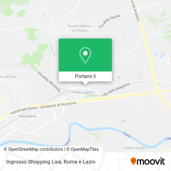 Mappa Ingrosso Shopping Lisa