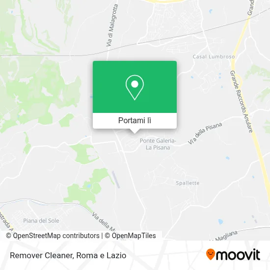 Mappa Remover Cleaner