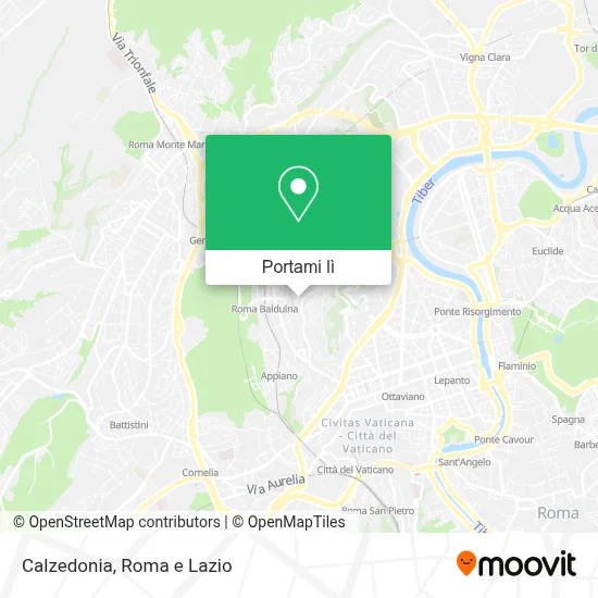 Mappa Calzedonia