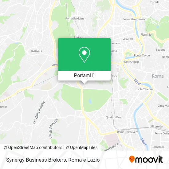 Mappa Synergy Business Brokers